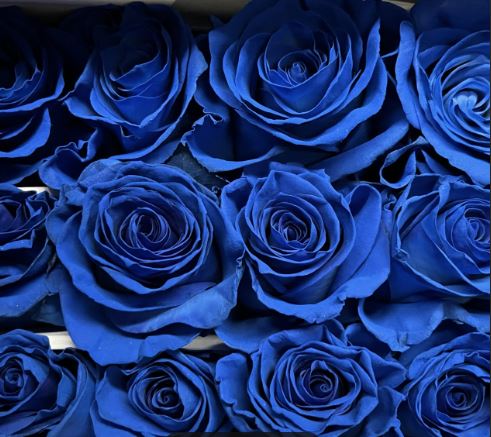 Blue's Soul